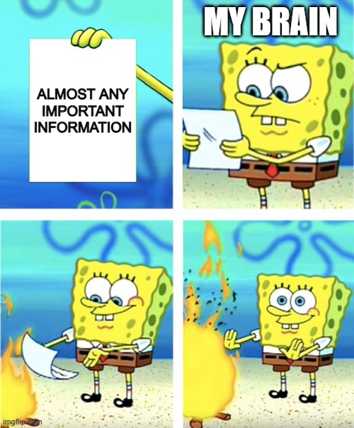 Spongebob Burning Paper | MY BRAIN; ALMOST ANY
IMPORTANT
INFORMATION | image tagged in spongebob burning paper | made w/ Imgflip meme maker