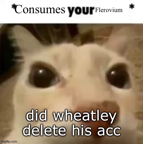 Yakko consumes your flerovium | did wheatley delete his account | image tagged in yakko consumes your flerovium | made w/ Imgflip meme maker