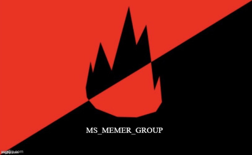 Why can't MSmg just be more welcoming so we have a better reputation? Are we stupid? | Imgflip Forgot | image tagged in ms memer group flag | made w/ Imgflip meme maker