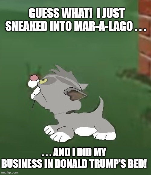 Bad Luck Blackie kitten Donald Trump | GUESS WHAT!  I JUST SNEAKED INTO MAR-A-LAGO . . . . . . AND I DID MY BUSINESS IN DONALD TRUMP'S BED! | image tagged in bad luck blackie,kitten,1949,cartoon,i hate donald trump,trump sucks | made w/ Imgflip meme maker