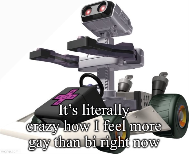 R.O.B. Mario Kart DS | It’s literally crazy how I feel more gay than bi right now | image tagged in r o b mario kart ds | made w/ Imgflip meme maker