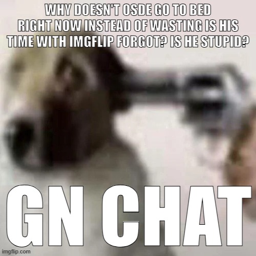 dog gunpoint | WHY DOESN'T OSDE GO TO BED RIGHT NOW INSTEAD OF WASTING IS HIS TIME WITH IMGFLIP FORGOT? IS HE STUPID? GN CHAT | image tagged in dog gunpoint | made w/ Imgflip meme maker