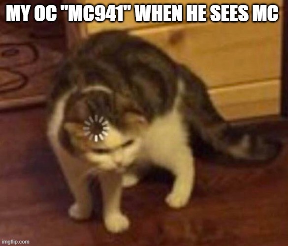 Thinking Cat | MY OC "MC941" WHEN HE SEES MC | image tagged in thinking cat | made w/ Imgflip meme maker