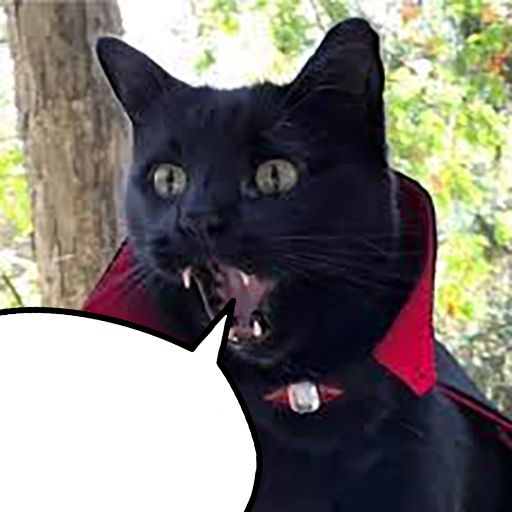 catcula Blank Meme Template