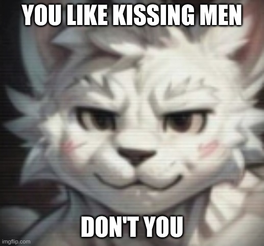 mankisser | YOU LIKE KISSING MEN; DON'T YOU | image tagged in mankisser | made w/ Imgflip meme maker