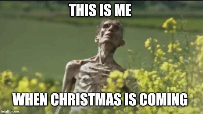 Christmas | THIS IS ME; WHEN CHRISTMAS IS COMING | image tagged in christmas | made w/ Imgflip meme maker