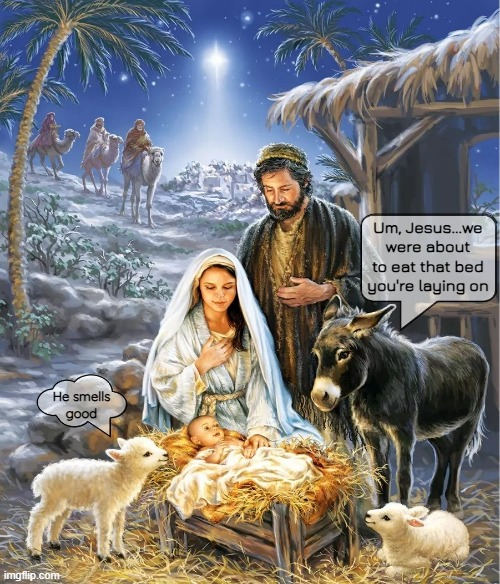 Hay Bed | Um, Jesus...we were about to eat that bed you're laying on; He smells
good | image tagged in funny memes,christmas,nativity | made w/ Imgflip meme maker