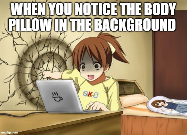 a | WHEN YOU NOTICE THE BODY PILLOW IN THE BACKGROUND | image tagged in when an anime leaves you on a cliffhanger | made w/ Imgflip meme maker