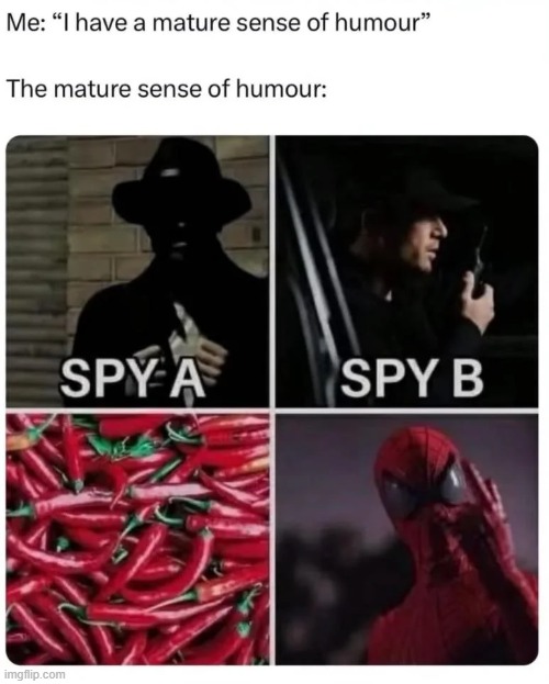 image tagged in humour,mature,spy,spies,spicy,spidey | made w/ Imgflip meme maker