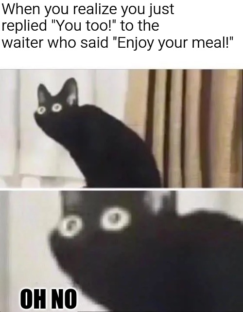 Oh No Black Cat | When you realize you just replied "You too!" to the waiter who said "Enjoy your meal!"; OH NO | image tagged in oh no black cat | made w/ Imgflip meme maker