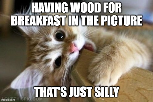 That's just silly cat | HAVING WOOD FOR BREAKFAST IN THE PICTURE; THAT'S JUST SILLY | image tagged in that's just silly cat | made w/ Imgflip meme maker