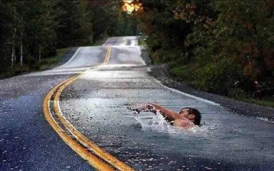 Road Swimmer Blank Meme Template