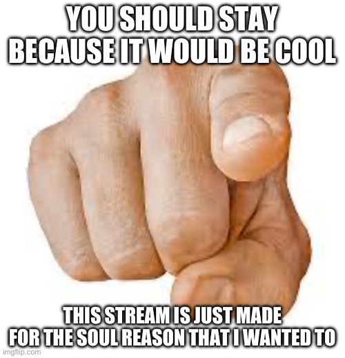 YOU SHOULD STAY BECAUSE IT WOULD BE COOL; THIS STREAM IS JUST MADE FOR THE SOUL REASON THAT I WANTED TO | made w/ Imgflip meme maker