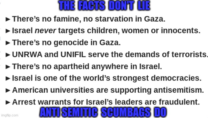 THE  FACTS  DON'T  LIE; ANTI SEMITIC  SCUMBAGS  DO | made w/ Imgflip meme maker