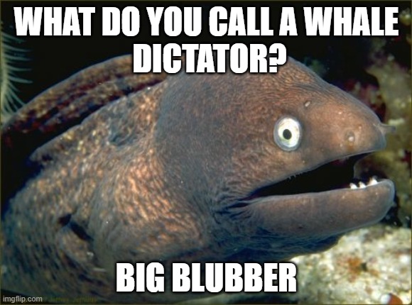 Anyone get this? | WHAT DO YOU CALL A WHALE
 DICTATOR? BIG BLUBBER | image tagged in memes,bad joke eel,1984 | made w/ Imgflip meme maker