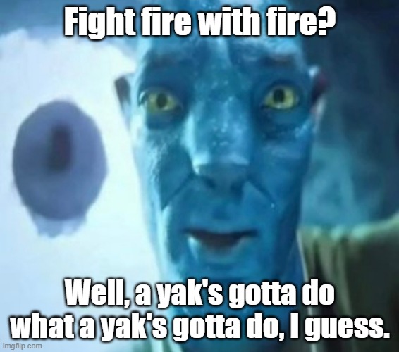 Bit counterintuitive, don't you think? | Fight fire with fire? Well, a yak's gotta do what a yak's gotta do, I guess. | image tagged in avatar guy,how to train your dragon,httyd,tuffnut | made w/ Imgflip meme maker