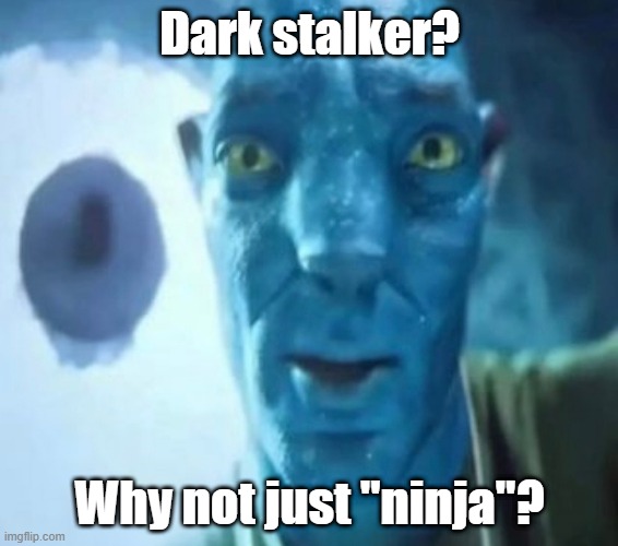 *insert light* | Dark stalker? Why not just "ninja"? | image tagged in avatar guy,wings of fire,wof | made w/ Imgflip meme maker