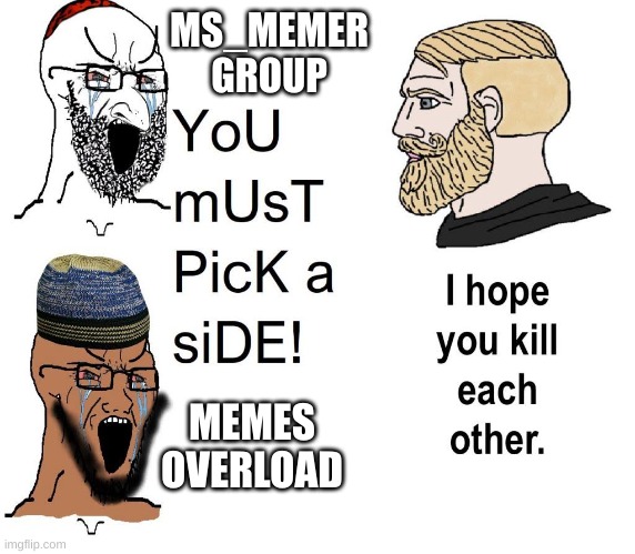 I'll never pick a side. | MS_MEMER GROUP; MEMES OVERLOAD | image tagged in you must pick a side,msmg,memes,streams | made w/ Imgflip meme maker