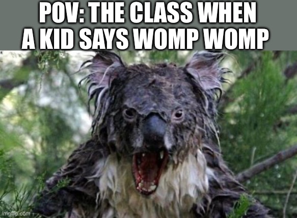 Angry Koala Meme | POV: THE CLASS WHEN A KID SAYS WOMP WOMP | image tagged in memes,angry koala | made w/ Imgflip meme maker