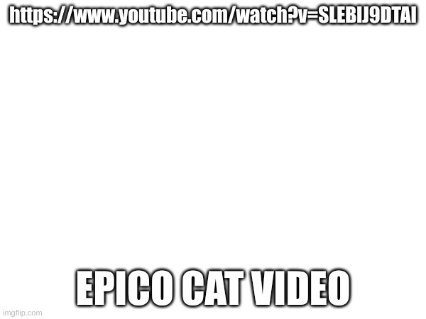 https://www.youtube.com/watch?v=SLEBlJ9DTAI; EPICO CAT VIDEO | made w/ Imgflip meme maker