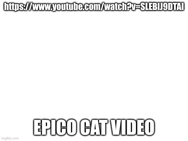 https://www.youtube.com/watch?v=SLEBlJ9DTAI; EPICO CAT VIDEO | made w/ Imgflip meme maker