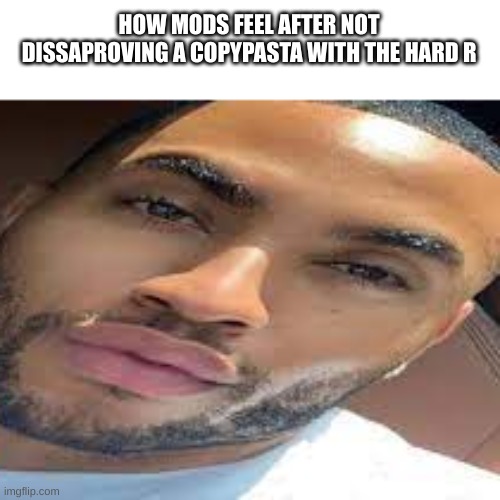 lightskin stare | HOW MODS FEEL AFTER NOT DISAPPROVING A COPYPASTA WITH THE HARD R | image tagged in lightskin stare | made w/ Imgflip meme maker