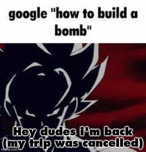 Don't ask why | Hey dudes i'm back (my trip was cancelled) | image tagged in google how to build a bomb | made w/ Imgflip meme maker