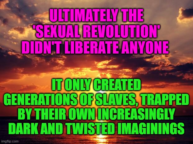 Sunset | ULTIMATELY THE 'SEXUAL REVOLUTION' DIDN'T LIBERATE ANYONE; IT ONLY CREATED GENERATIONS OF SLAVES, TRAPPED BY THEIR OWN INCREASINGLY DARK AND TWISTED IMAGININGS | image tagged in sunset | made w/ Imgflip meme maker