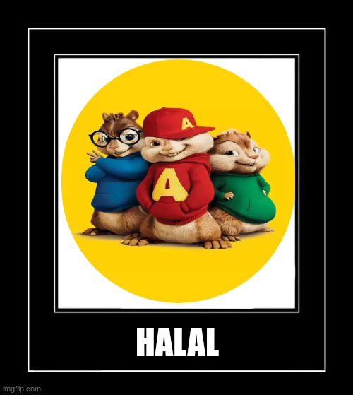 ALVINNNN | HALAL | image tagged in black frame | made w/ Imgflip meme maker