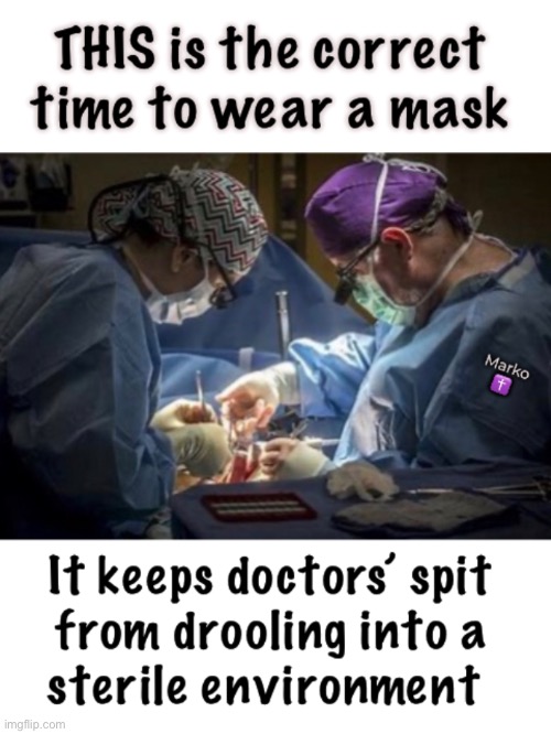 Also good for Sawdust | image tagged in memes,wearing masks for convid is idiotic,but it also warns us that ur ignorant dumbocrat,fjb fkh voters kissmyass | made w/ Imgflip meme maker