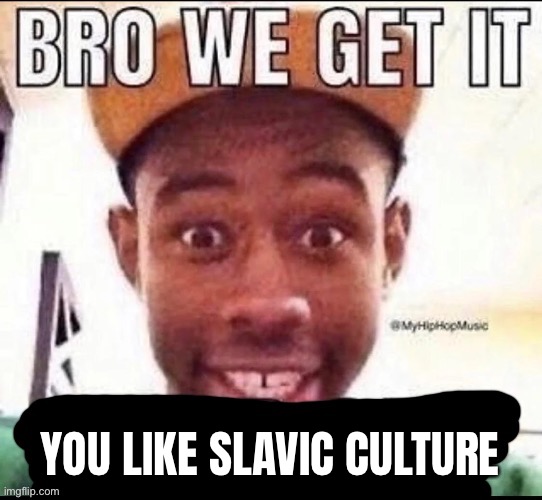 Bro we get it (blank) | YOU LIKE SLAVIC CULTURE | image tagged in bro we get it blank | made w/ Imgflip meme maker