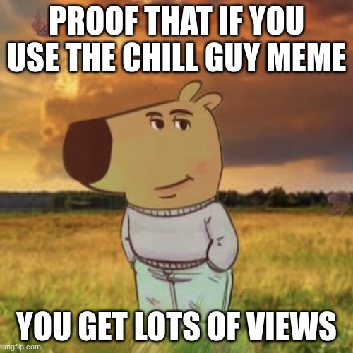 Chill guy | PROOF THAT IF YOU USE THE CHILL GUY MEME; YOU GET LOTS OF VIEWS | image tagged in chill guy | made w/ Imgflip meme maker