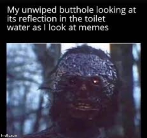 LMFAO | image tagged in memes,funny,relatable,animals,true,toilet humor | made w/ Imgflip meme maker