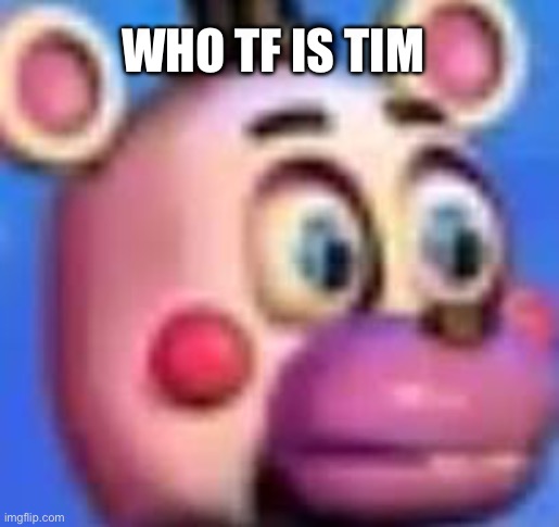 helpy | WHO TF IS TIM | image tagged in helpy | made w/ Imgflip meme maker