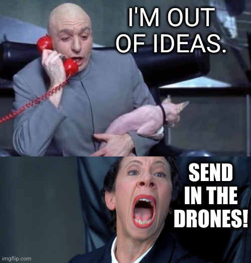 Dr Evil and Frau | I'M OUT OF IDEAS. SEND IN THE DRONES! | image tagged in dr evil and frau | made w/ Imgflip meme maker