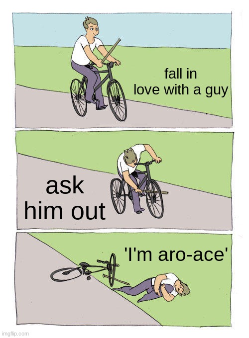 *sigh* | fall in love with a guy; ask him out; 'I'm aro-ace' | image tagged in memes,bike fall | made w/ Imgflip meme maker