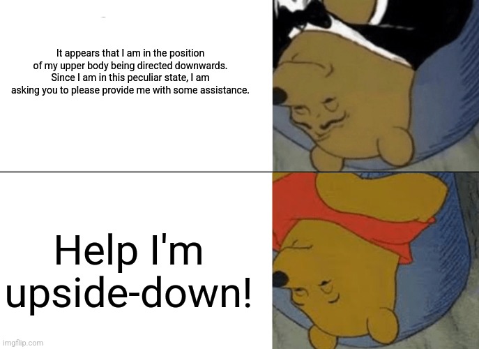 Tuxedo Winnie The Pooh Meme | It appears that I am in the position of my upper body being directed downwards. Since I am in this peculiar state, I am asking you to please provide me with some assistance. Help I'm upside-down! | image tagged in memes,tuxedo winnie the pooh | made w/ Imgflip meme maker