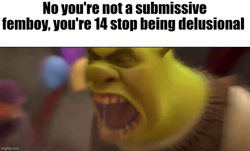 Shrek Screaming | No you're not a submissive femboy, you're 14 stop being delusional | image tagged in shrek screaming | made w/ Imgflip meme maker