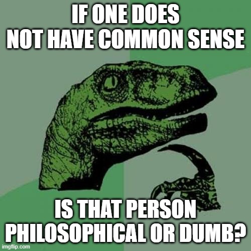 hmmm | IF ONE DOES NOT HAVE COMMON SENSE; IS THAT PERSON PHILOSOPHICAL OR DUMB? | image tagged in memes,philosoraptor | made w/ Imgflip meme maker