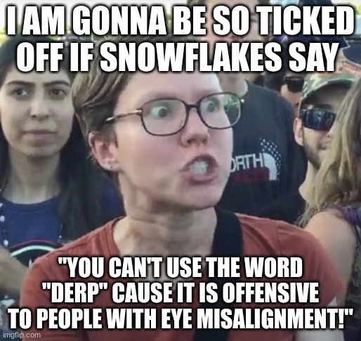 If they go after the word "Derp", I'm gonna throw hands! | I AM GONNA BE SO TICKED OFF IF SNOWFLAKES SAY; "YOU CAN'T USE THE WORD "DERP" CAUSE IT IS OFFENSIVE TO PEOPLE WITH EYE MISALIGNMENT!" | image tagged in triggered feminist,derp,snowflakes | made w/ Imgflip meme maker