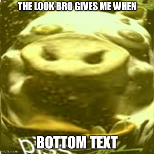 THE LOOK BRO GIVES ME WHEN; BOTTOM TEXT | image tagged in original meme | made w/ Imgflip meme maker