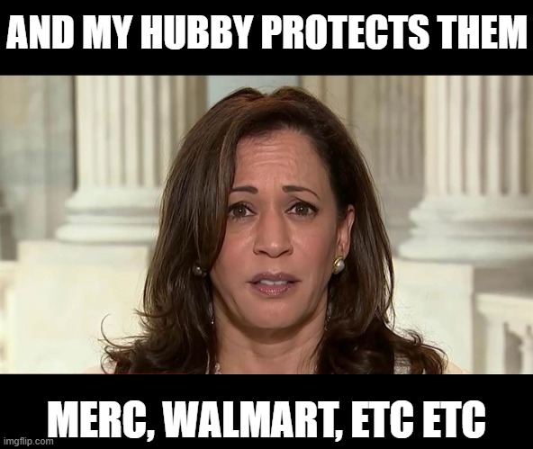 kamala harris | AND MY HUBBY PROTECTS THEM MERC, WALMART, ETC ETC | image tagged in kamala harris | made w/ Imgflip meme maker
