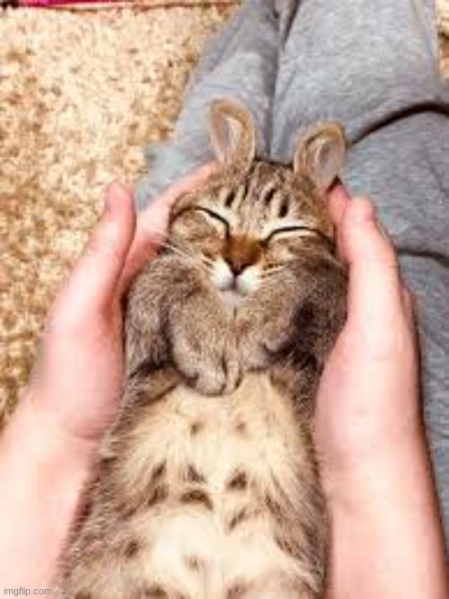 I fucking hate blooket | made w/ Imgflip meme maker