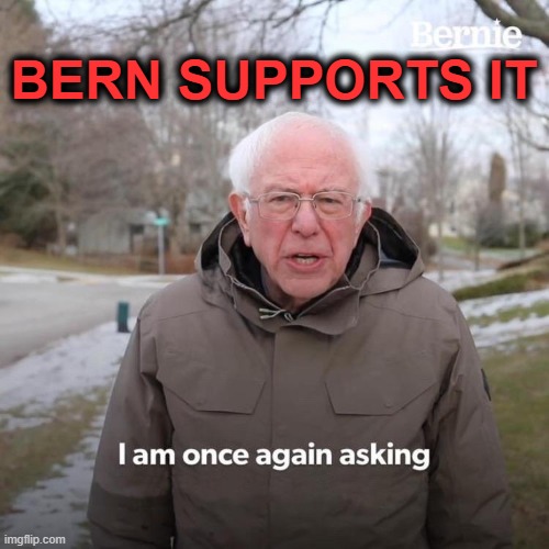 Bernie I Am Once Again Asking For Your Support Meme | BERN SUPPORTS IT | image tagged in memes,bernie i am once again asking for your support | made w/ Imgflip meme maker