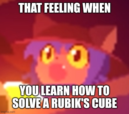 Geeniuse ◉⁠‿⁠◉ | THAT FEELING WHEN; YOU LEARN HOW TO SOLVE A RUBIK'S CUBE | image tagged in niko pog,rubik's cube | made w/ Imgflip meme maker