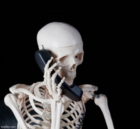 Skeleton on phone | image tagged in skeleton on phone | made w/ Imgflip meme maker