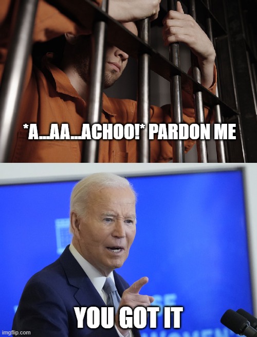 *A...AA...ACHOO!* PARDON ME; YOU GOT IT | image tagged in funny memes,memes,sneezing,joe biden,united states,political meme | made w/ Imgflip meme maker