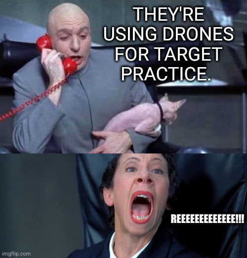 Dr Evil and Frau | THEY'RE USING DRONES FOR TARGET PRACTICE. REEEEEEEEEEEEE!!! | image tagged in dr evil and frau | made w/ Imgflip meme maker