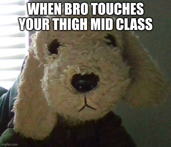 real | WHEN BRO TOUCHES YOUR THIGH MID CLASS | image tagged in funny,dog,stuffed animal | made w/ Imgflip meme maker