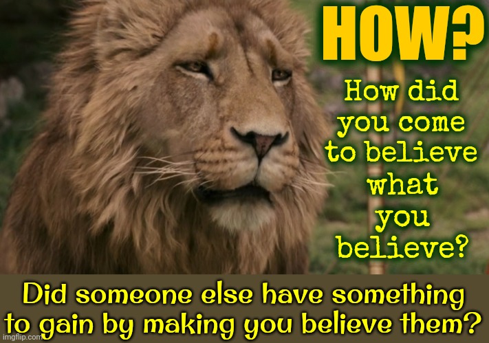 EVERYTHING You Think You KNOW Was Made Up By People That PROFIT From YOUR Belief.  QUESTION EVERYTHING! TRUST NO INFORMATION! | HOW? How did you come to believe; what you believe? Did someone else have something to gain by making you believe them? | image tagged in do not cite the deep magic to me witch,question everything,trust no one,trust nobody not even yourself,beliefs,memes | made w/ Imgflip meme maker